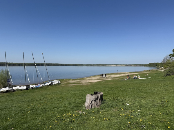 Cospudener See