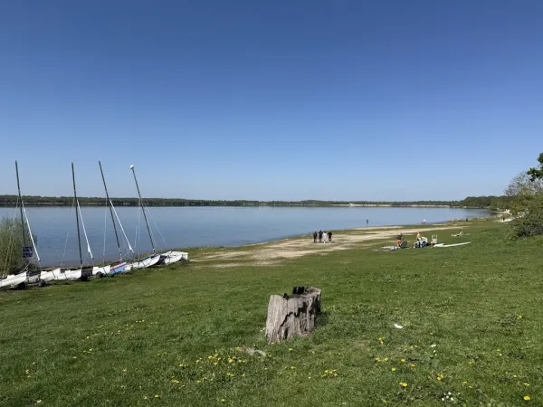 Cospudener See