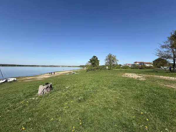 Cospudener See