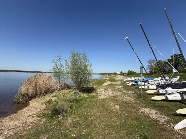 Cospudener See