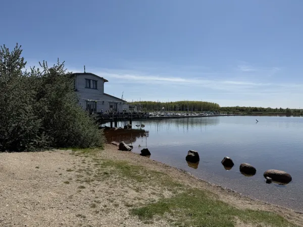 Cospudener See