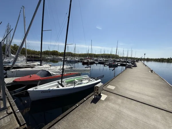 Cospudener See
