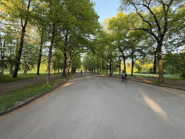 Clara-Zetkin-Park&nbsp;(größte Parkanlage Leipzigs)
