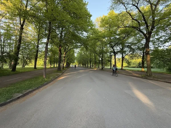 Clara-Zetkin-Park (größte Parkanlage Leipzigs)