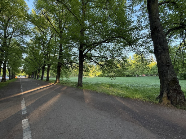 Clara-Zetkin-Park&nbsp;(größte Parkanlage Leipzigs)