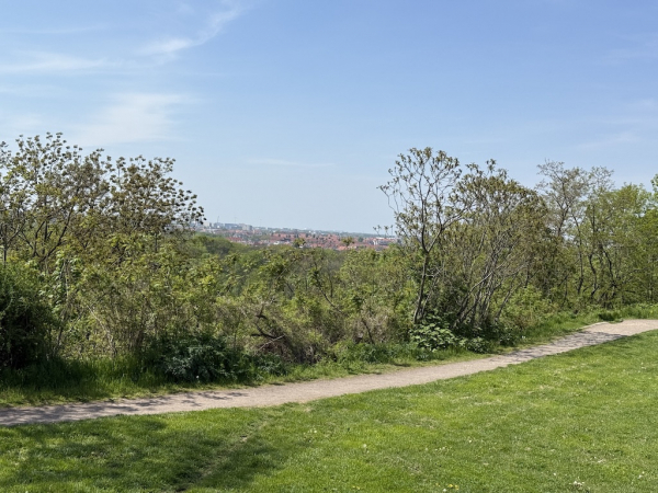 Fockeberg Leipzig