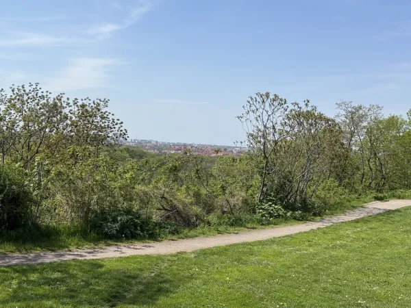 Fockeberg Leipzig